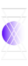 Partner 13